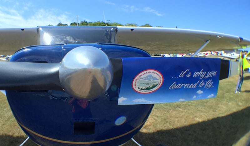Why You Learned to Fly
