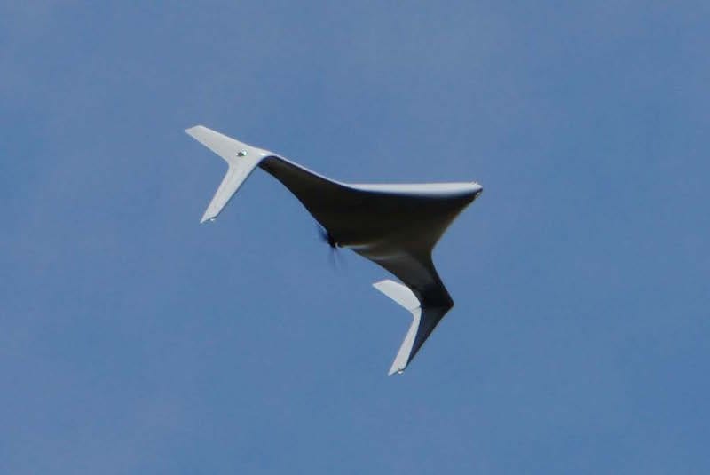 Bat Unmanned Aircraft System (UAS)
