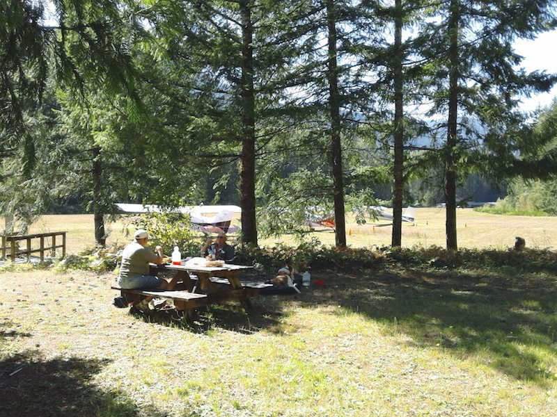 picnic